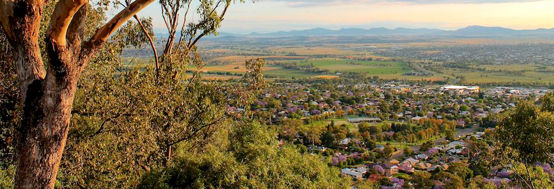 tamworth parent consultation